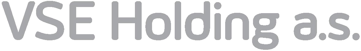 logo company-logo-vse